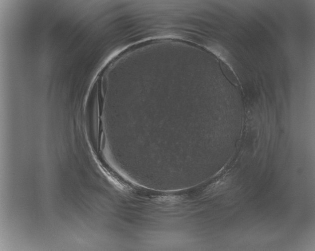 X0000062651127200512281640