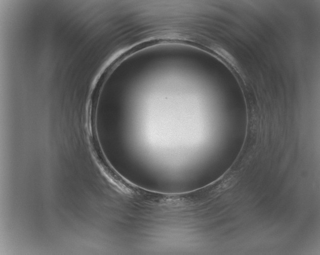 X0000062651128200512281640