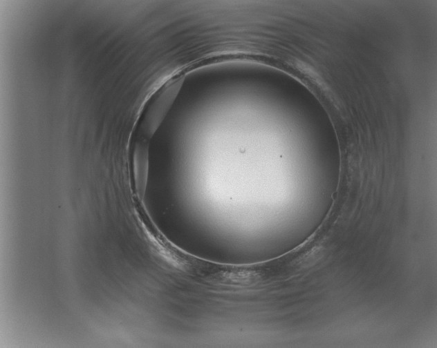 X0000062651129200512281640