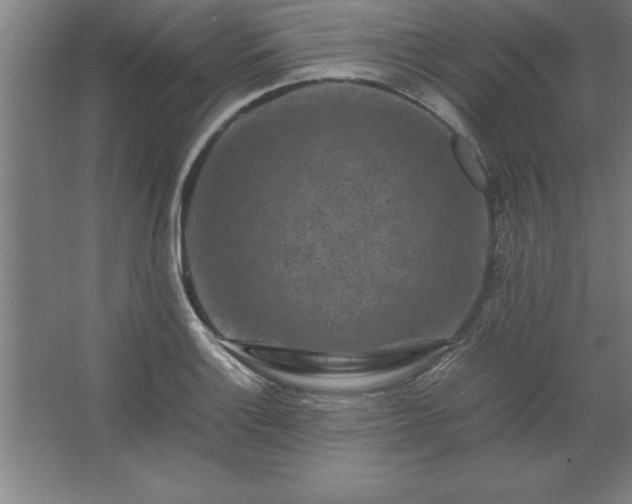 X0000062651132200512281640