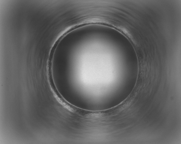 X0000062651134200512281640