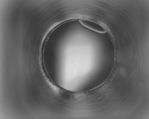 X0000062651136200512281640