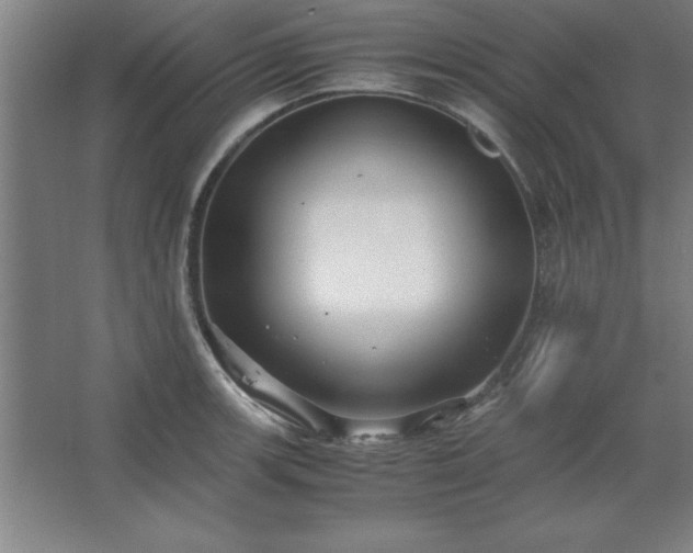 X0000062651139200512281640