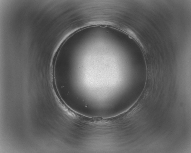 X0000062651140200512281640