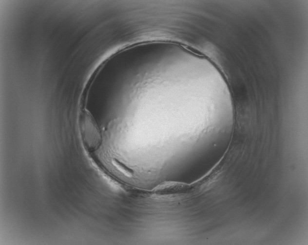 X0000062651142200512281640