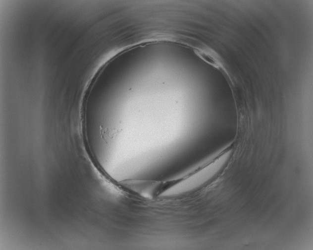 X0000062651143200512281640