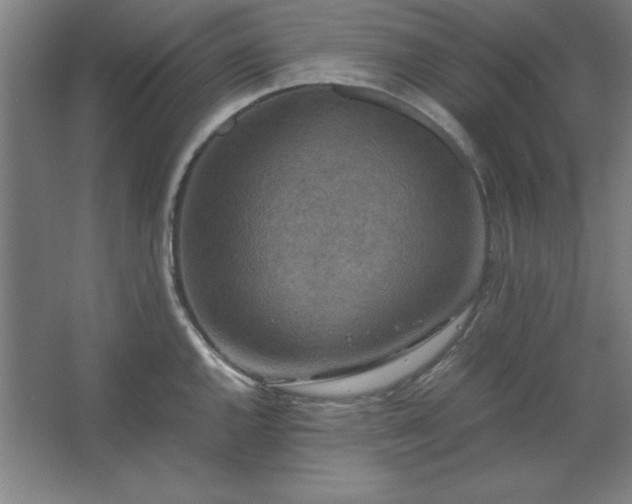 X0000062651144200512281640