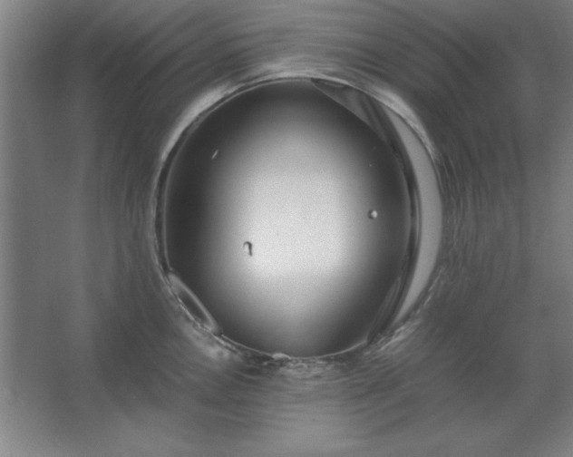 X0000062651146200512281640