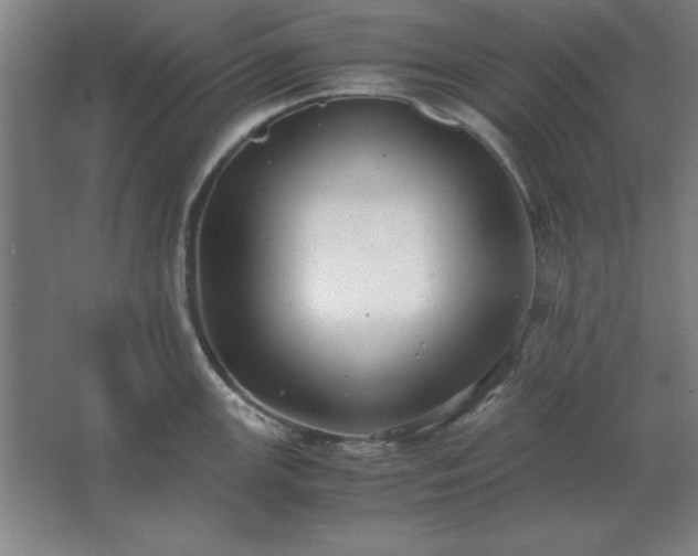 X0000062651147200512281640