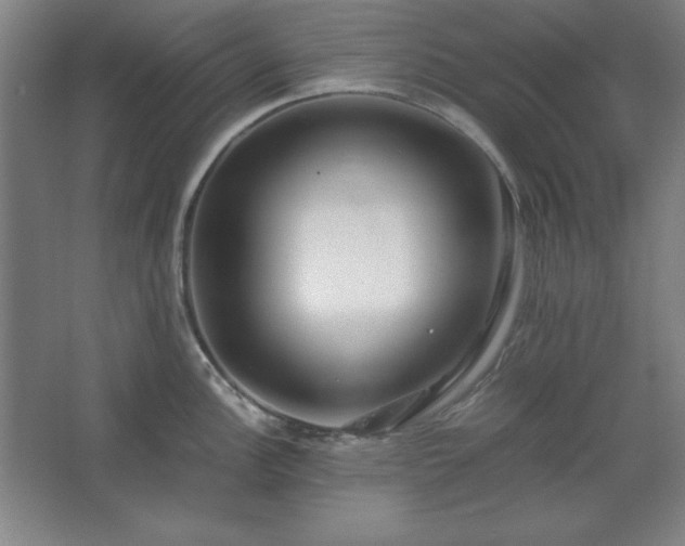 X0000062651148200512281640