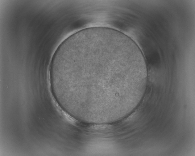 X0000062651150200512281640