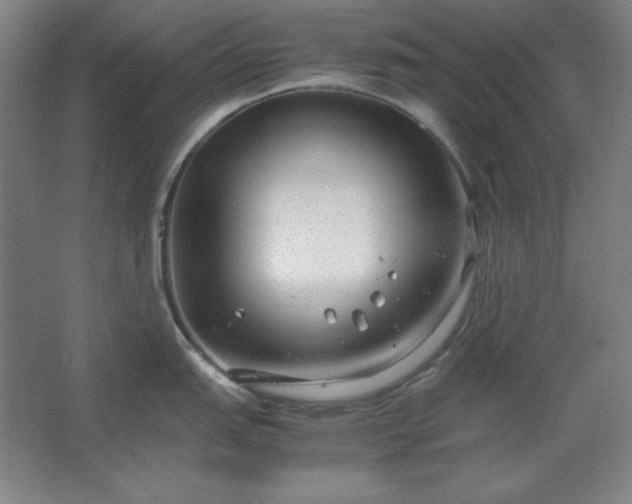 X0000062651151200512281640