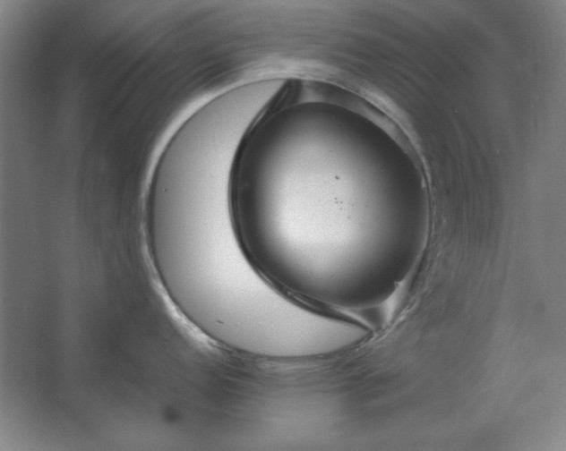 X0000062651152200512281640