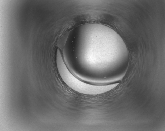 X0000062651153200512281640