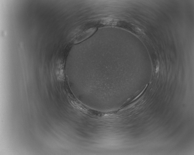 X0000062651154200512281640