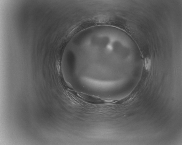 X0000062651155200512281640