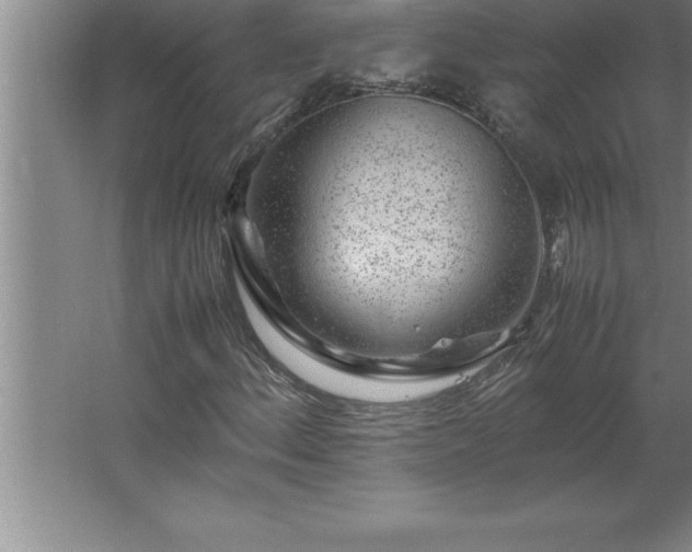 X0000062651156200512281640