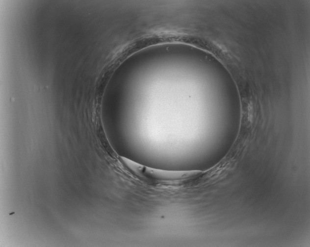 X0000062651157200512281640