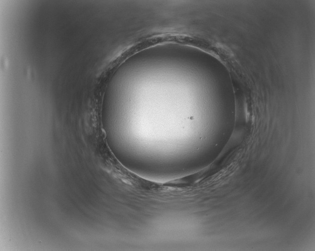 X0000062651159200512281640