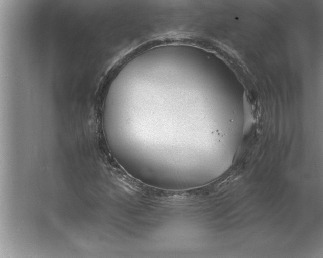 X0000062651160200512281640