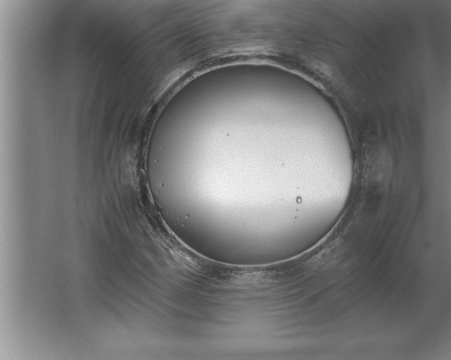 X0000062651162200512281639