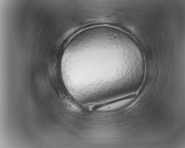 X0000062651163200512281639