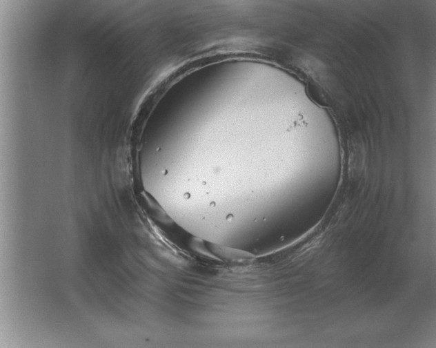 X0000062651164200512281639