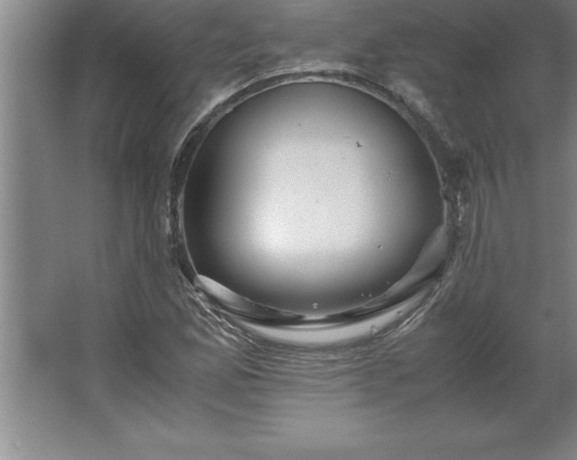 X0000062651165200512281639