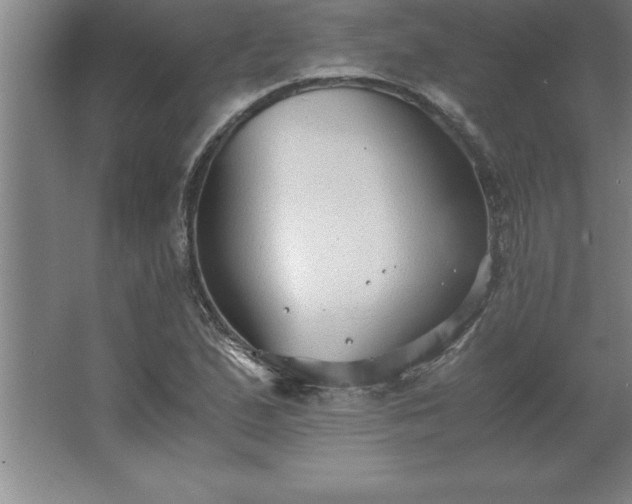 X0000062651167200512281639