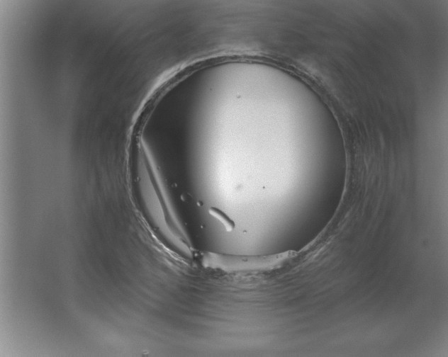 X0000062651168200512281639