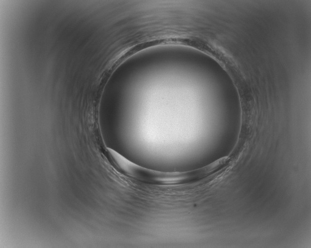 X0000062651169200512281639