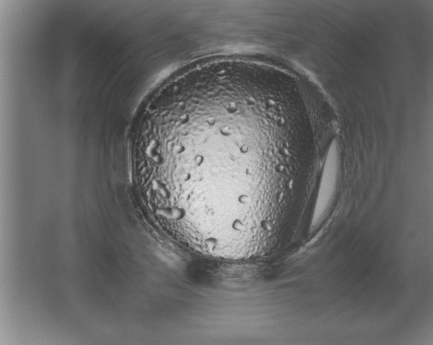 X0000062651171200512281639