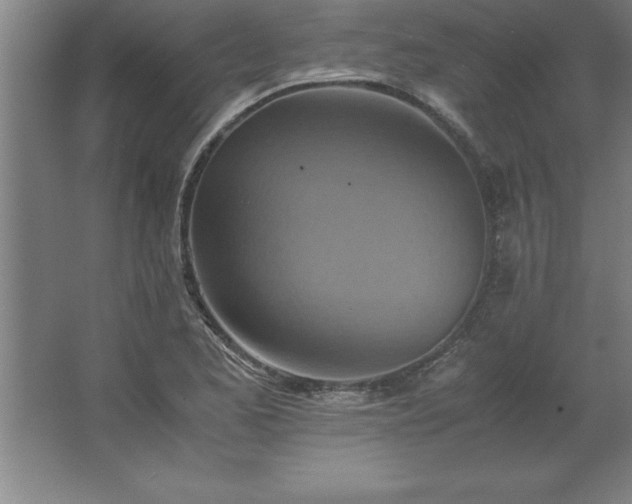 X0000062651173200512281639