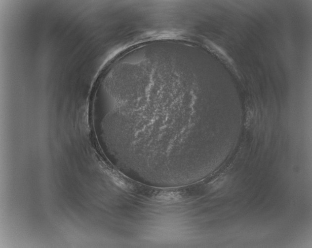 X0000062651174200512281639