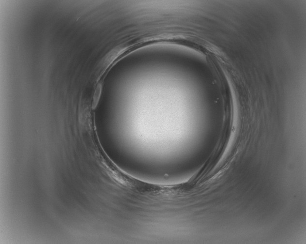 X0000062651177200512281639