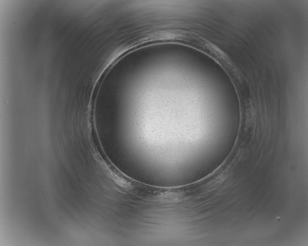 X0000062651178200512281639