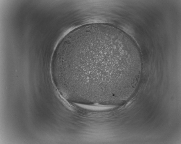 X0000062651179200512281639