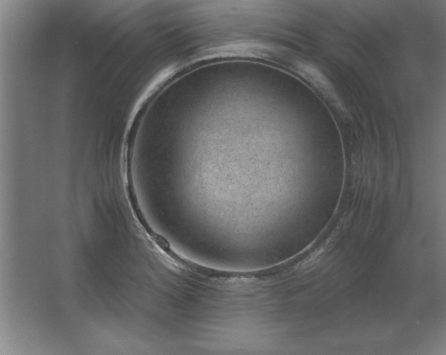 X0000062651180200512281639