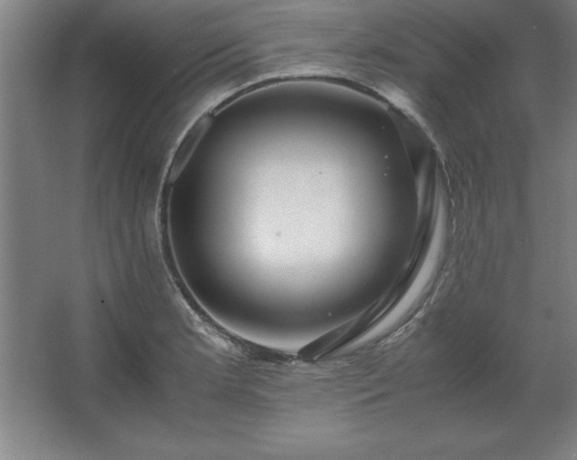 X0000062651181200512281639