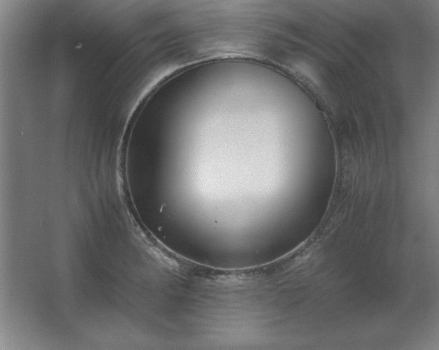 X0000062651182200512281639