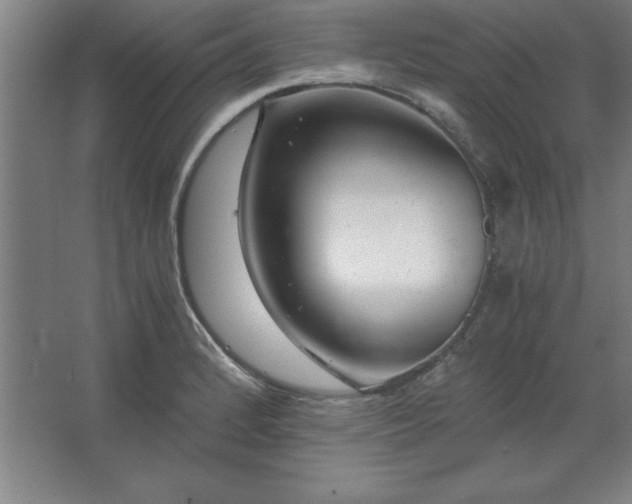 X0000062651184200512281639