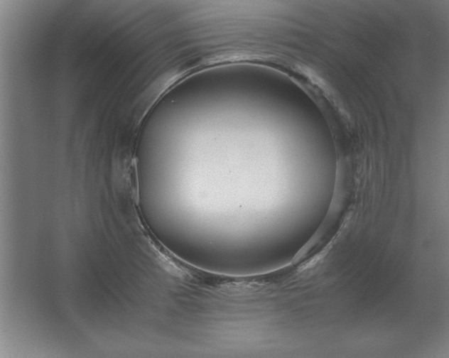 X0000062651185200512281639