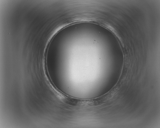 X0000062651187200512281639