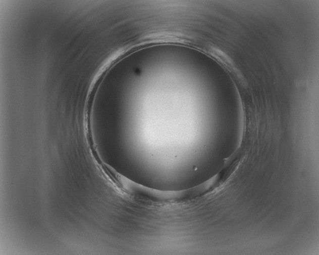 X0000062651188200512281639