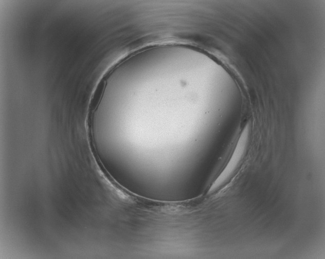 X0000062651189200512281639