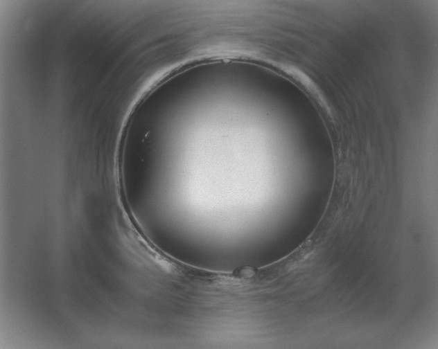 X0000062651191200512281639