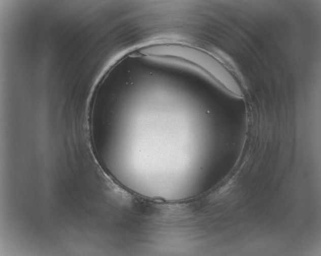 X0000062651192200512281639