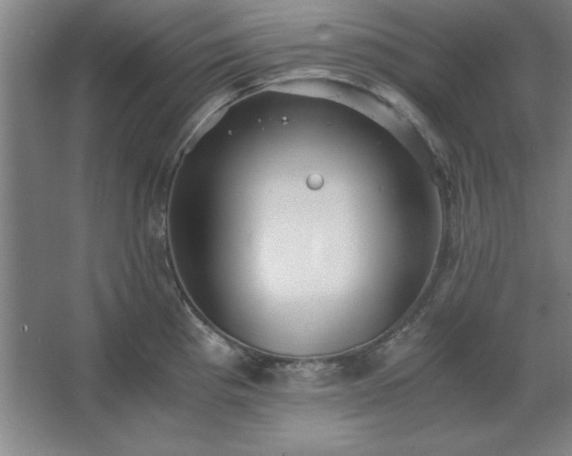 X0000062651193200512281639