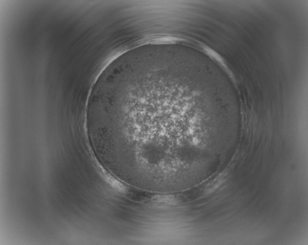 X0000062651194200512281639