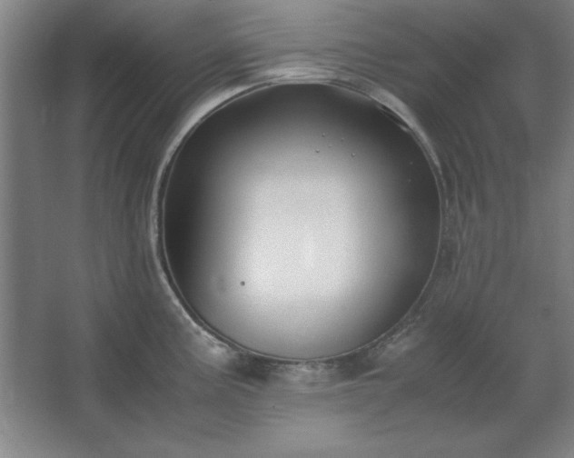 X0000062651195200512281639